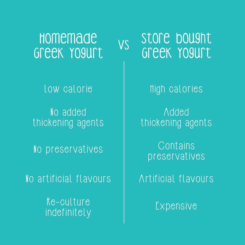 Zoh Probiotics Greek Yogurt - Image 9